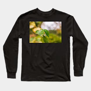 Early Autumn leaves Long Sleeve T-Shirt